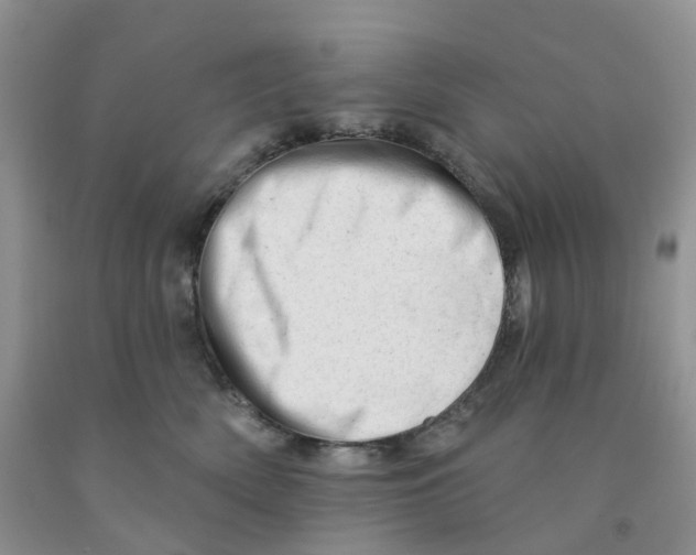 X0000091310522200709071116
