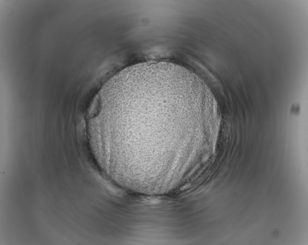 X0000091310523200709071116