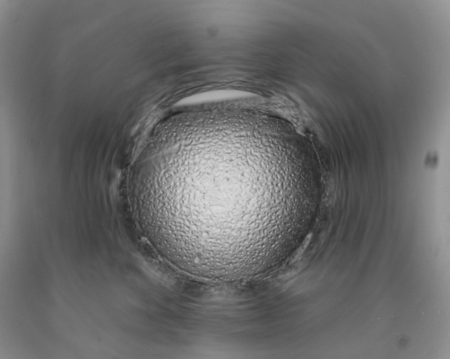 X0000091310524200709071116