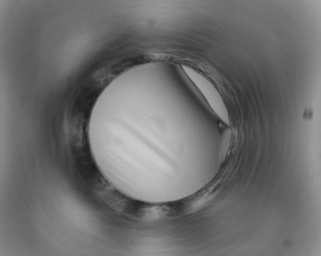 X0000091310525200709071116