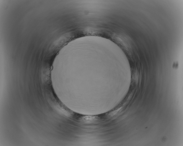X0000091310526200709071116