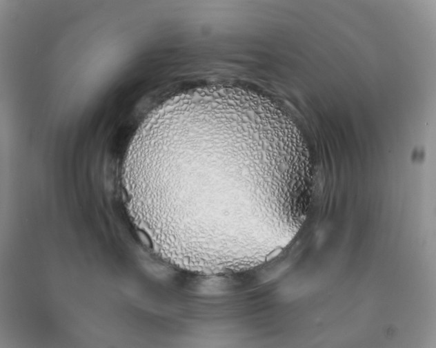X0000091310527200709071116