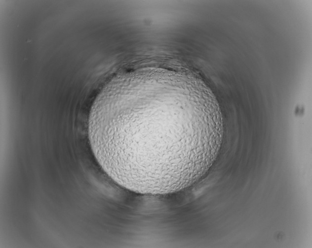 X0000091310528200709071116