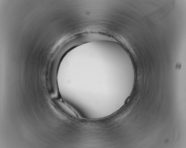 X0000091310530200709071116
