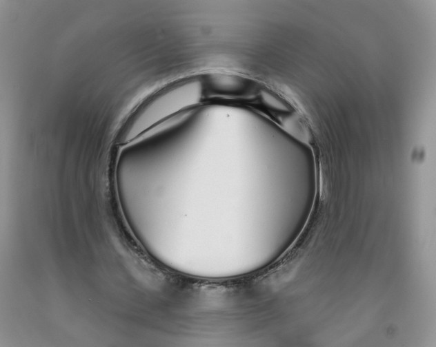 X0000091310531200709071116