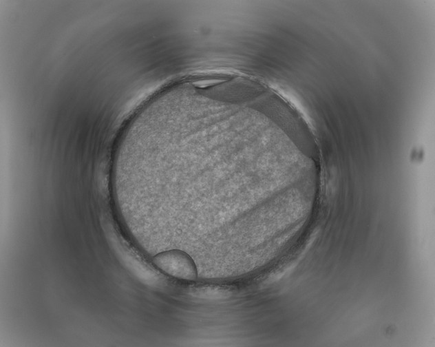 X0000091310533200709071116