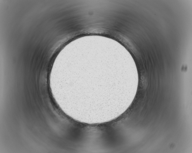 X0000091310534200709071116
