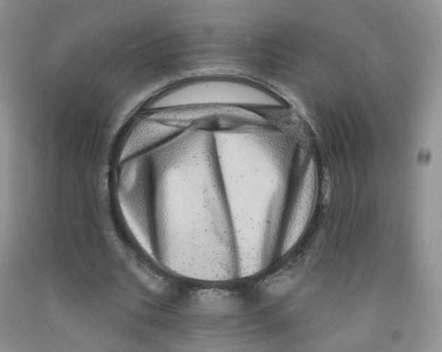 X0000091310535200709071116
