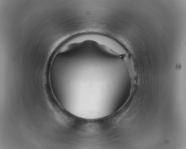 X0000091310536200709071116