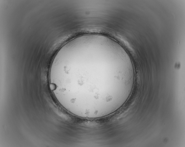 X0000091310537200709071116