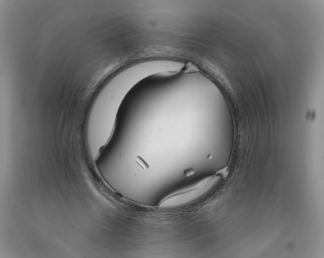 X0000091310538200709071116
