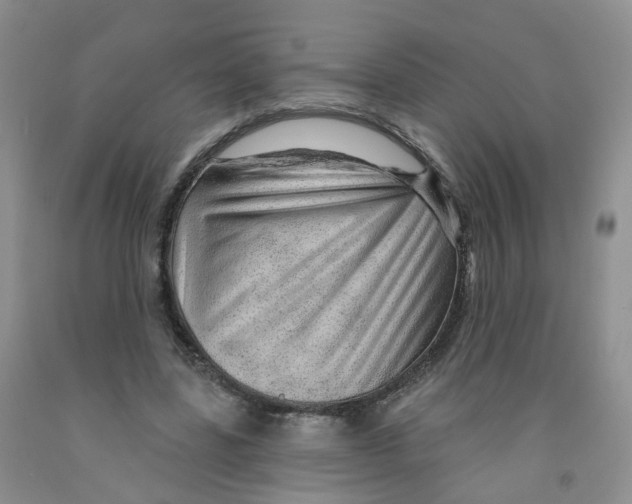 X0000091310539200709071116