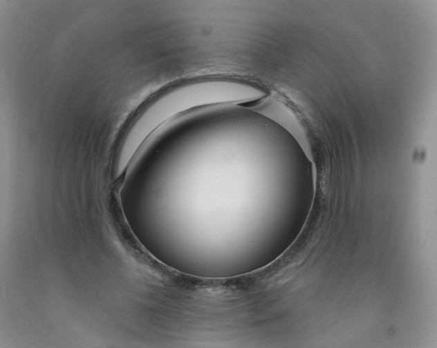 X0000091310540200709071116