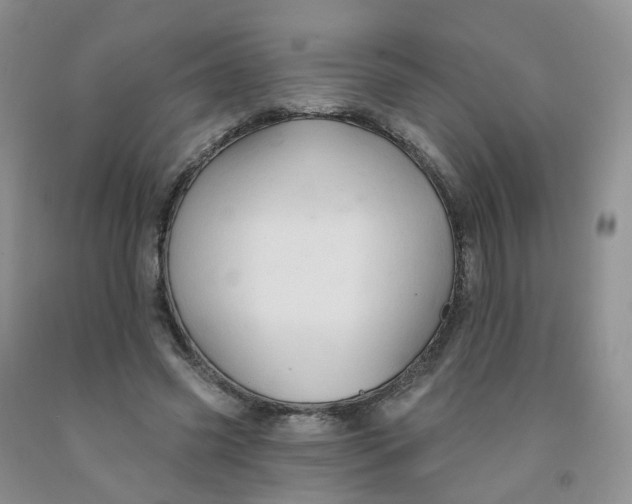 X0000091310541200709071116