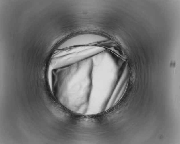X0000091310543200709071116