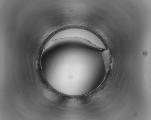 X0000091310544200709071116