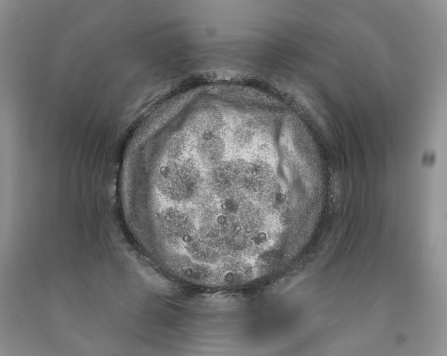 X0000091310545200709071116