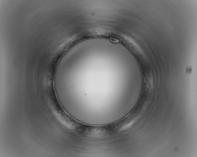 X0000091310546200709071116