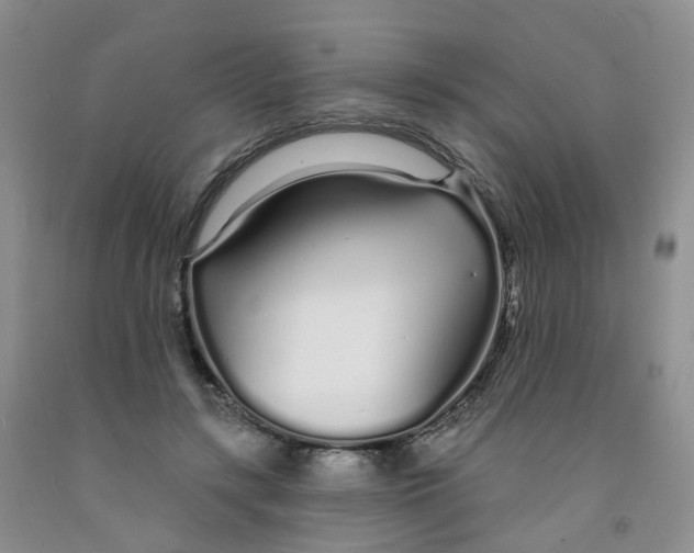 X0000091310547200709071116