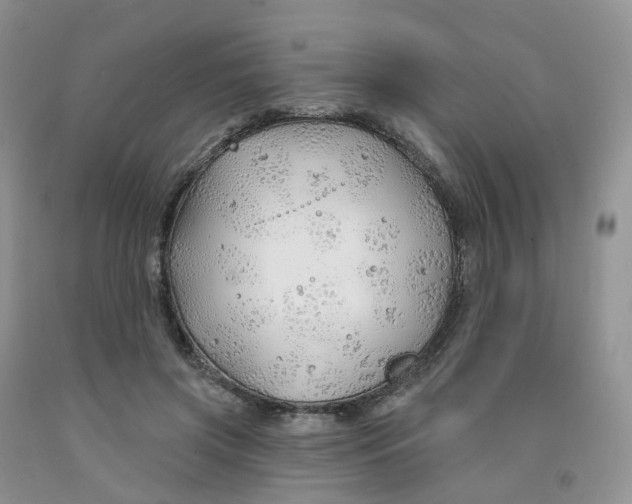 X0000091310549200709071116