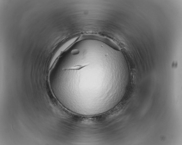 X0000091310550200709071116