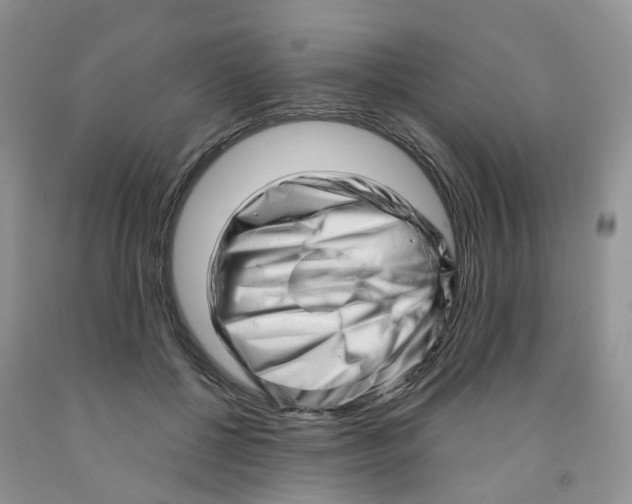 X0000091310552200709071116
