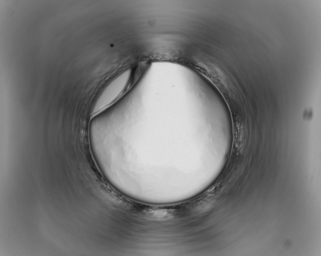 X0000091310553200709071116