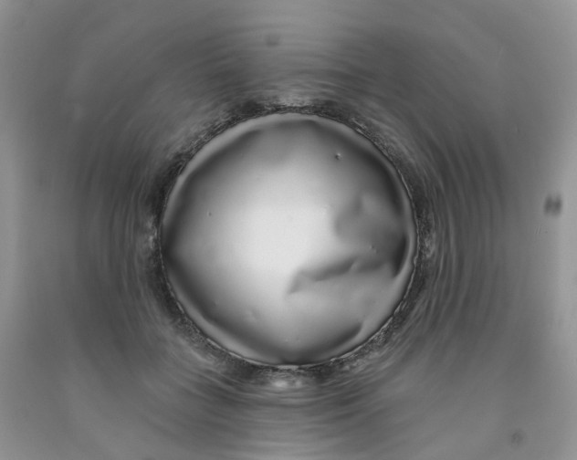 X0000091310555200709071116