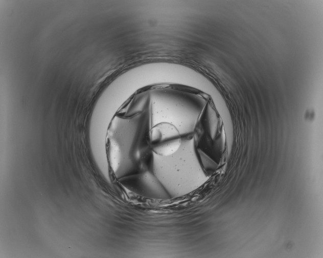 X0000091310556200709071116