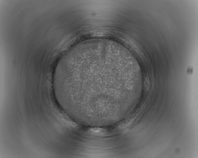 X0000091310557200709071116