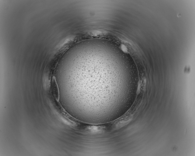 X0000091310558200709071116