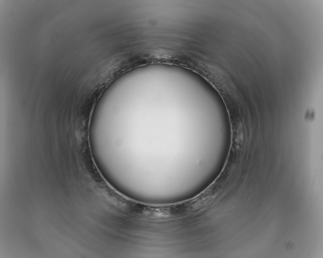 X0000091310559200709071116