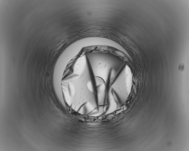 X0000091310560200709071116