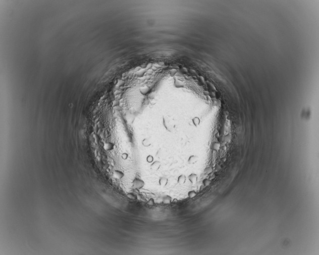 X0000091310561200709071116