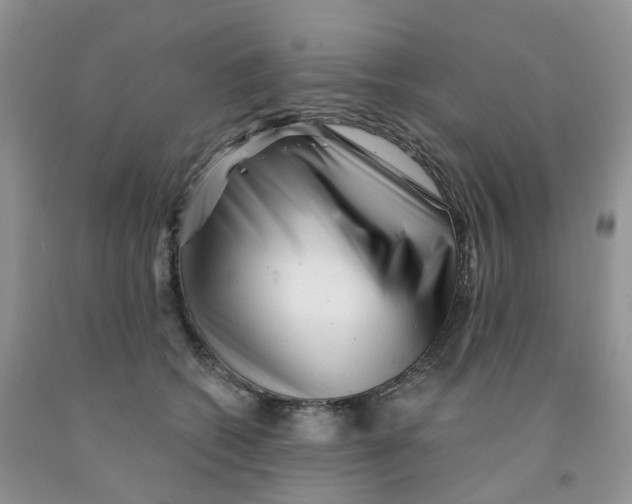 X0000091310562200709071116