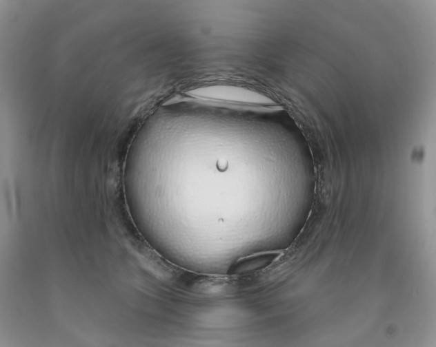 X0000091310563200709071116