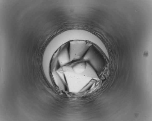 X0000091310564200709071116