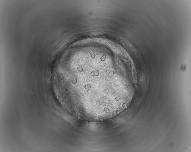 X0000091310565200709071116