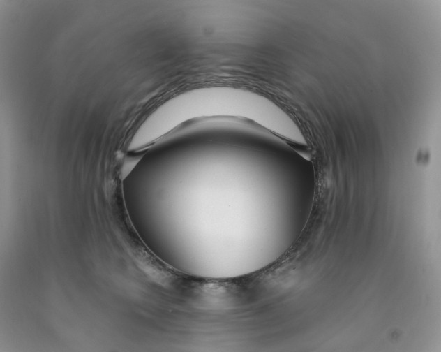 X0000091310566200709071116