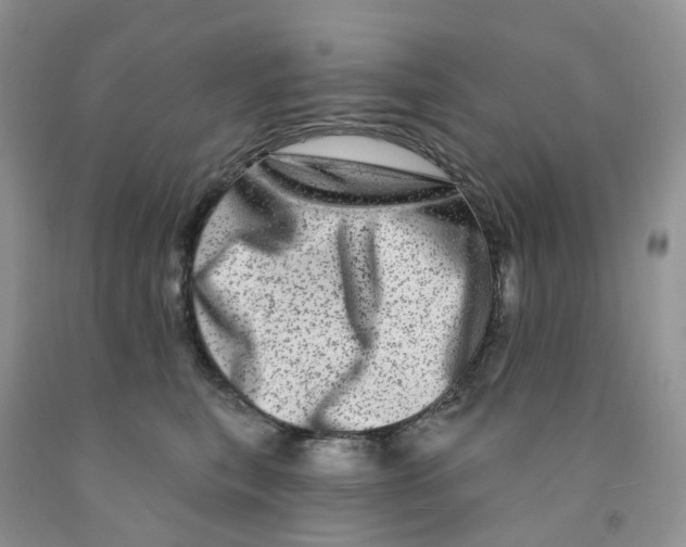 X0000091310567200709071116