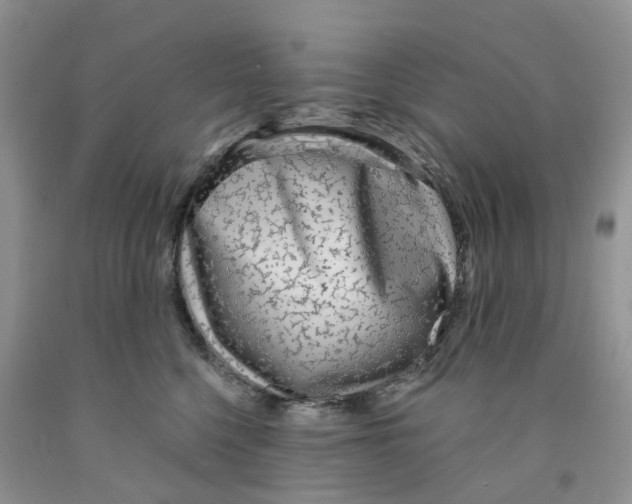 X0000091310568200709071116