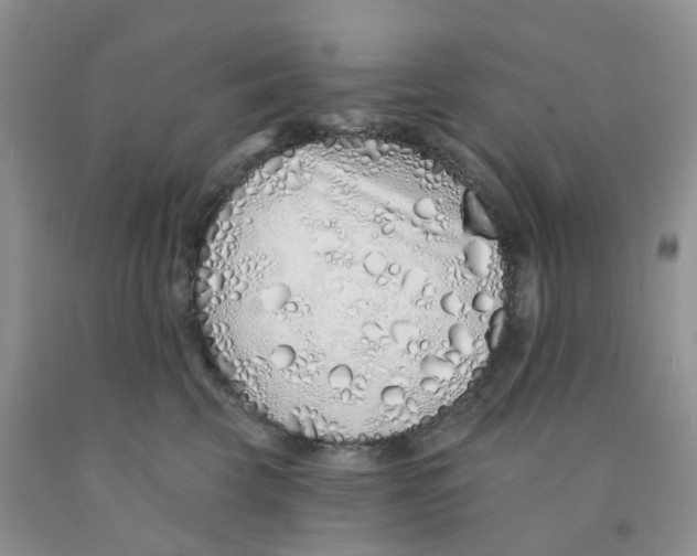 X0000091310569200709071116