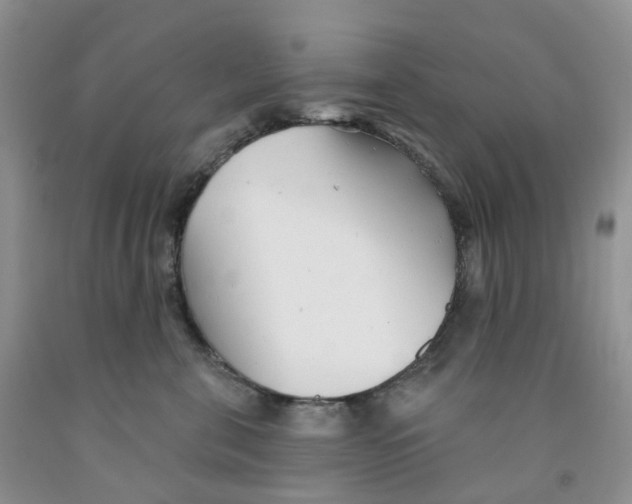 X0000091310571200709071116