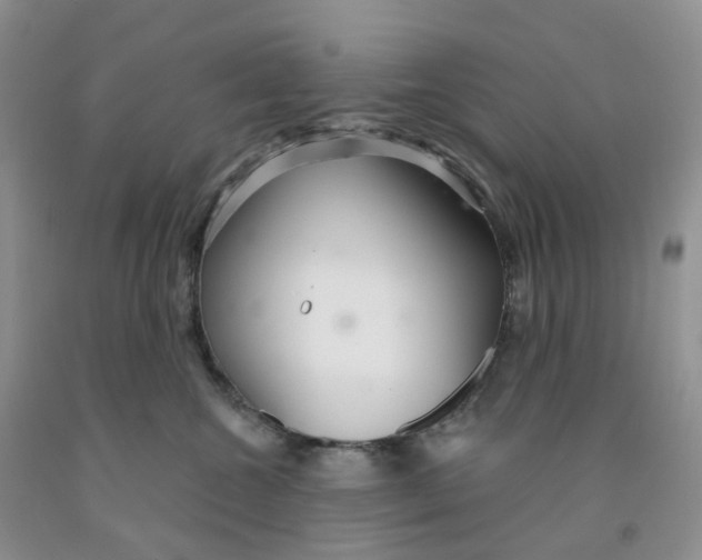 X0000091310572200709071116