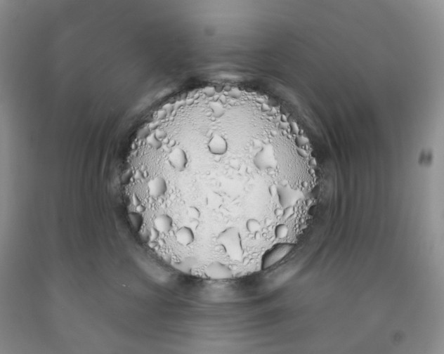 X0000091310573200709071116