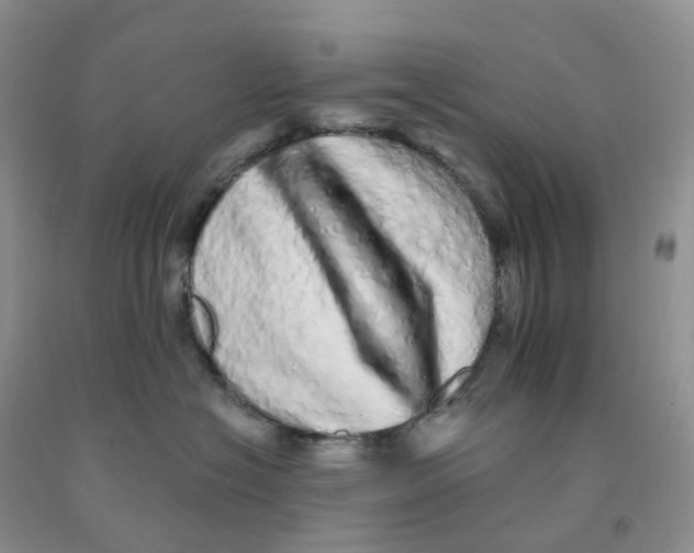 X0000091310574200709071116