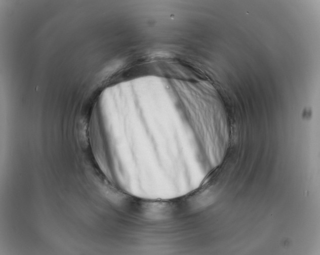X0000091310575200709071116