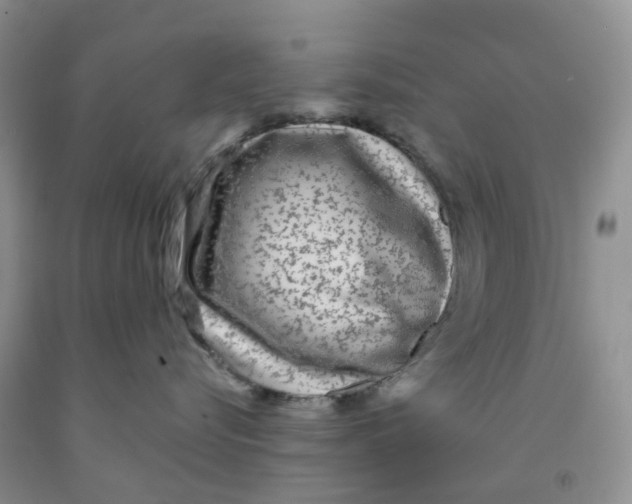 X0000091310576200709071116