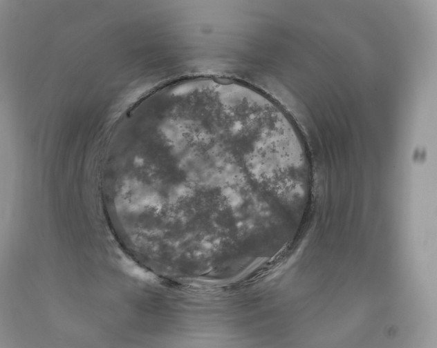 X0000091310577200709071116