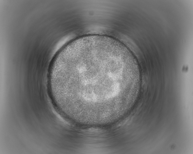 X0000091310578200709071115